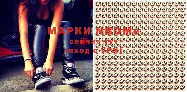 apvp Алзамай