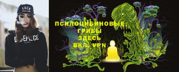 Альфа ПВП Алексеевка