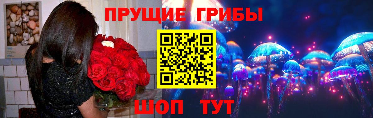 Псилоцибиновые грибы мицелий Миллерово