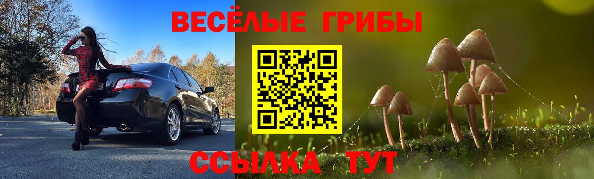 Миллерово  Псилоцибиновые грибы мицелий  Вход с VPN 